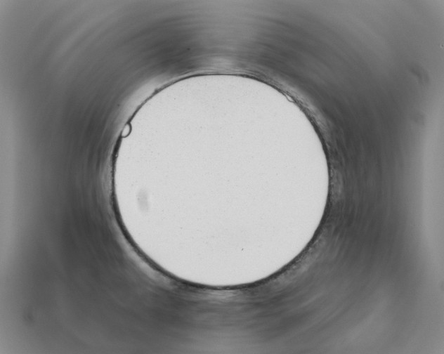 X0000112431479200909251526