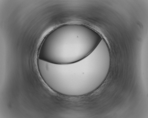 X0000112431480200909251526