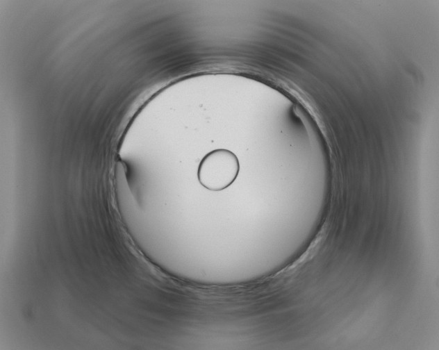 X0000112431481200909251526
