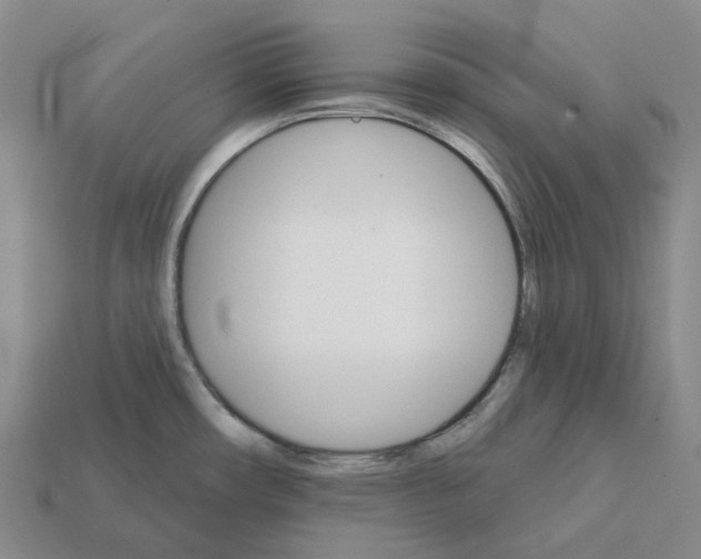 X0000112431482200909251526