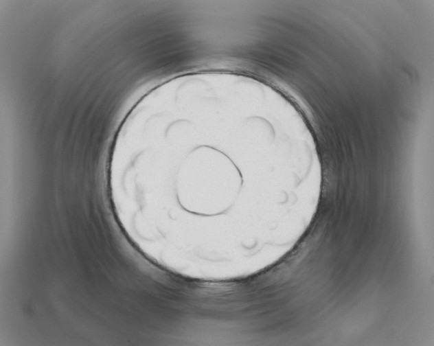 X0000112431483200909251526