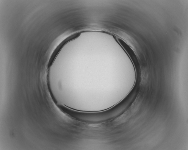 X0000112431484200909251526