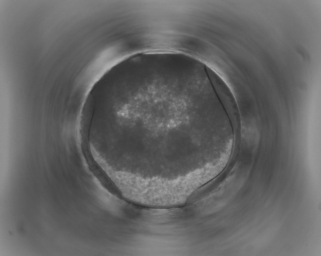 X0000112431485200909251526