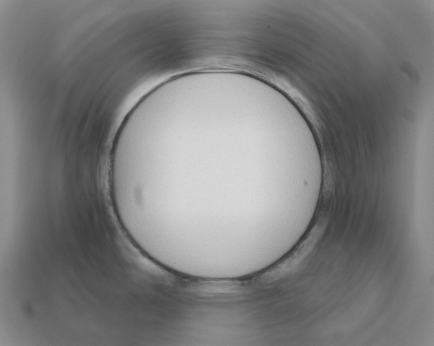 X0000112431486200909251526
