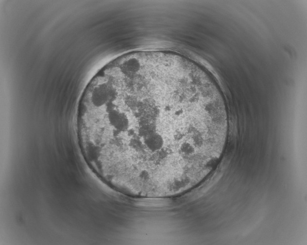 X0000112431487200909251526