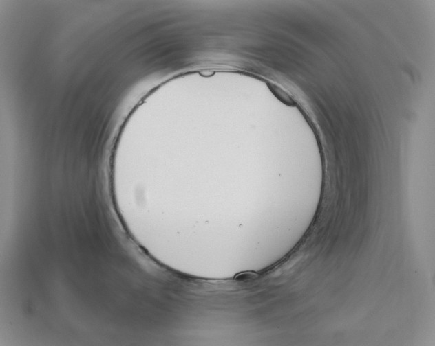 X0000112431488200909251526