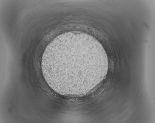 X0000112431489200909251526