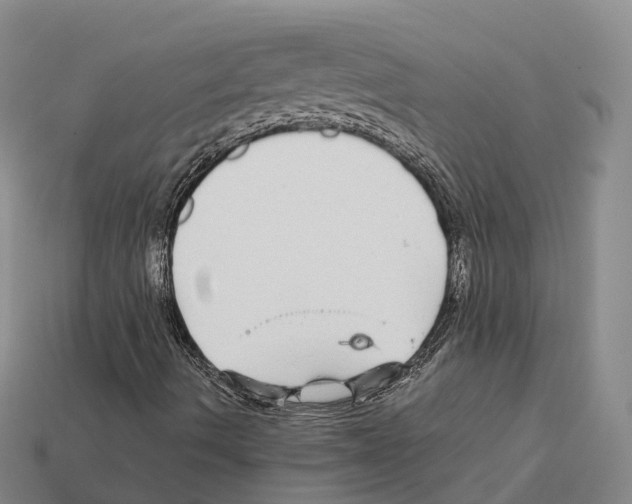 X0000112431490200909251526
