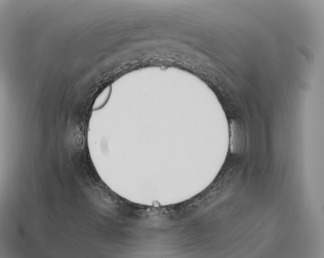 X0000112431491200909251526