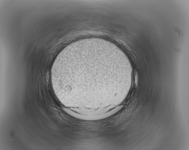 X0000112431492200909251526