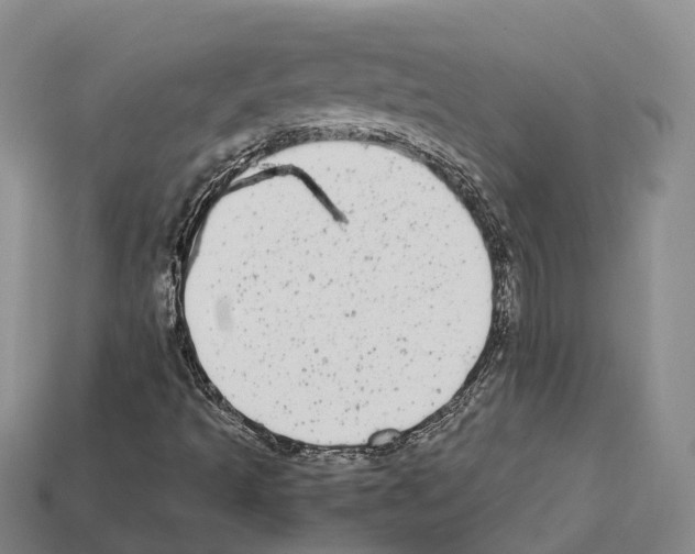 X0000112431493200909251526