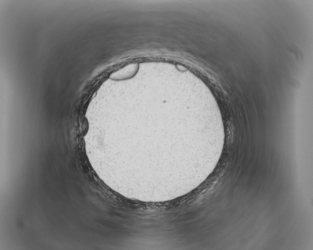 X0000112431494200909251526