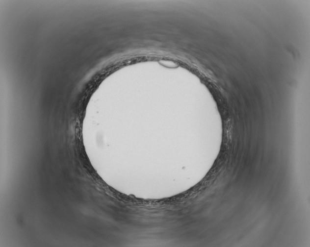 X0000112431495200909251526