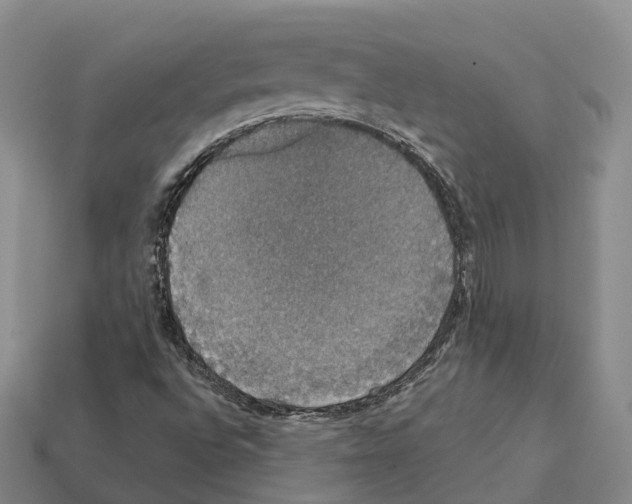 X0000112431496200909251526