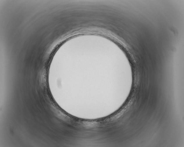 X0000112431498200909251526