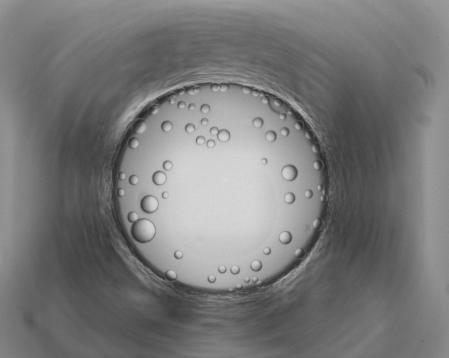 X0000112431499200909251526