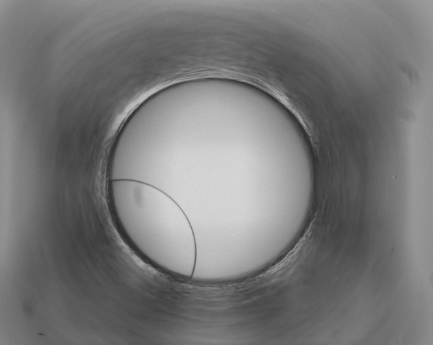 X0000112431500200909251526