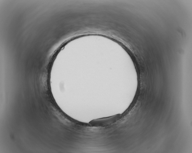 X0000112431502200909251526