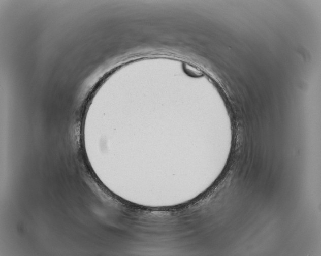 X0000112431503200909251526