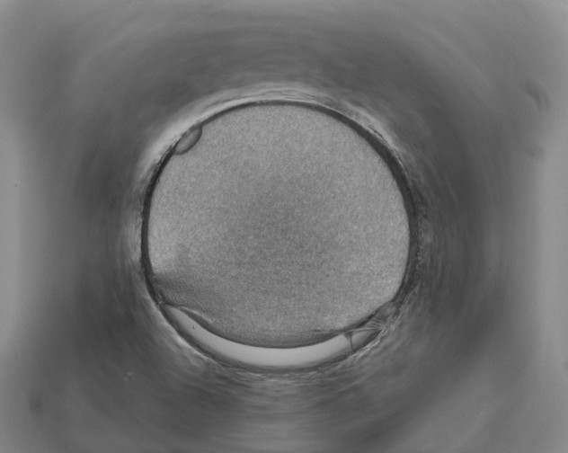 X0000112431504200909251526