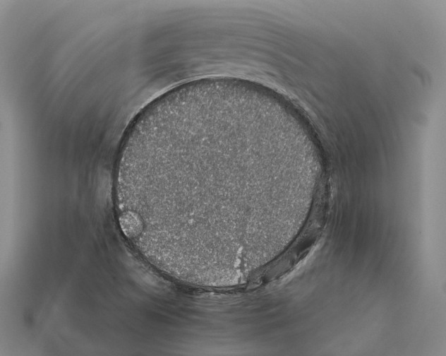X0000112431505200909251526
