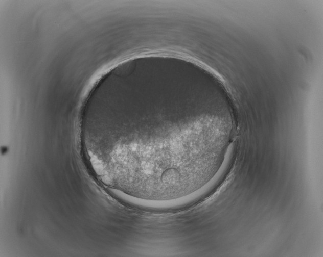 X0000112431506200909251526