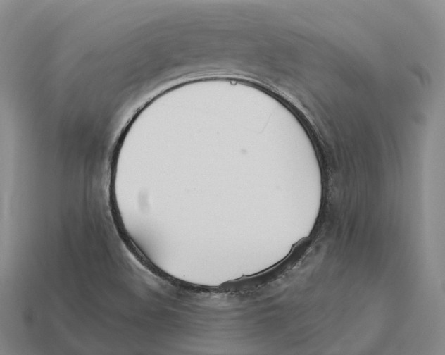 X0000112431508200909251526