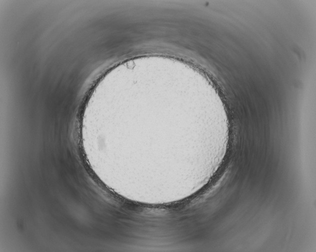 X0000112431509200909251526