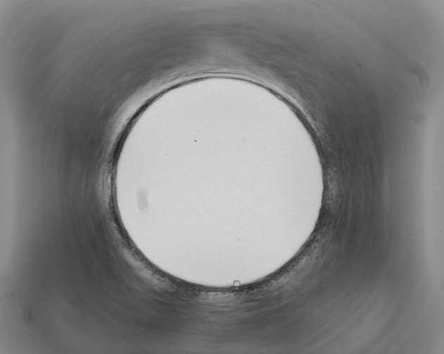 X0000112431511200909251526