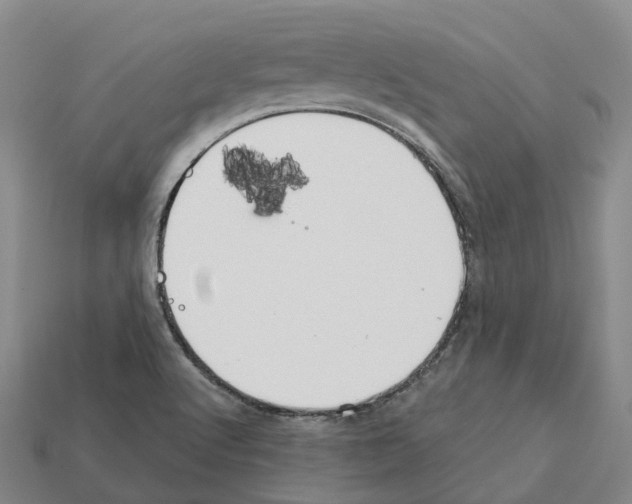 X0000112431512200909251526