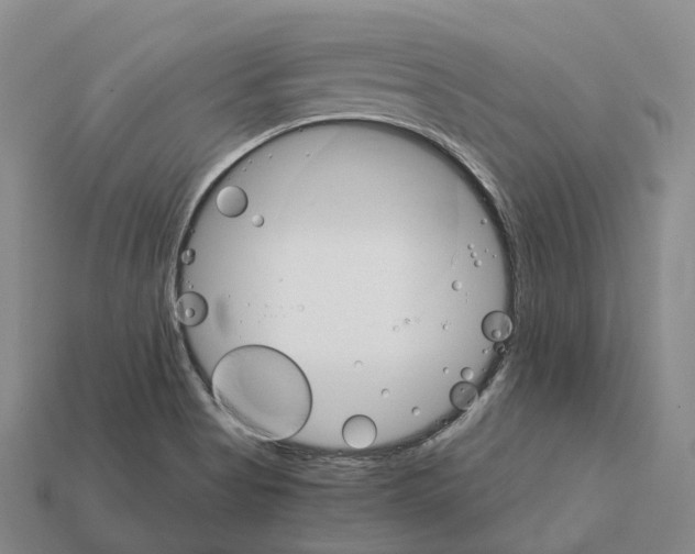 X0000112431513200909251526