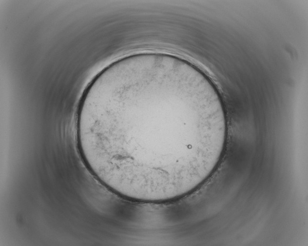X0000112431514200909251526