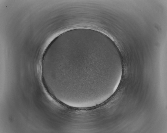 X0000112431515200909251526