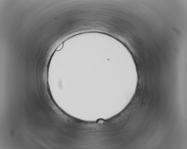 X0000112431516200909251526