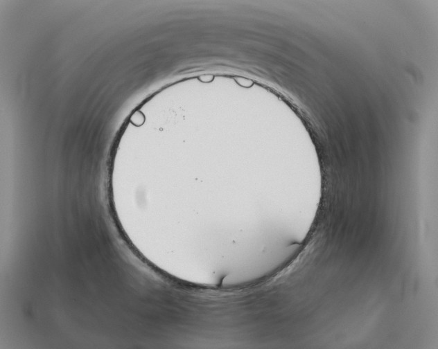 X0000112431518200909251526