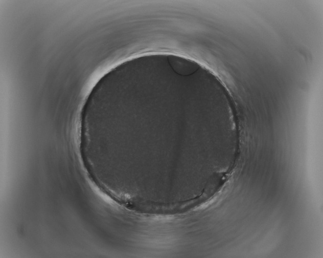 X0000112431519200909251526