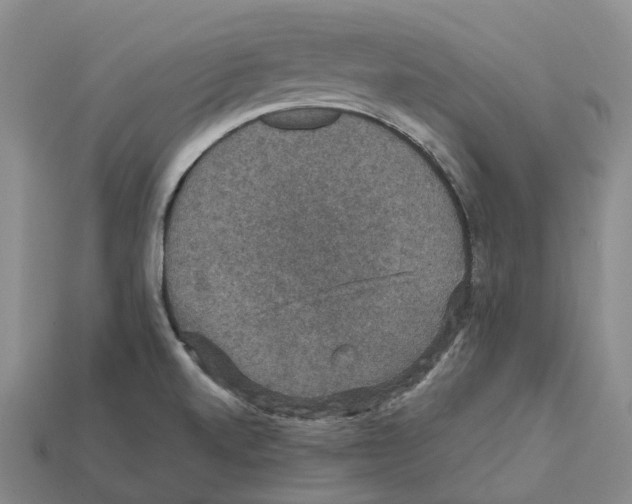 X0000112431520200909251526