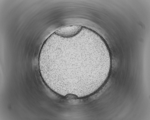 X0000112431521200909251526