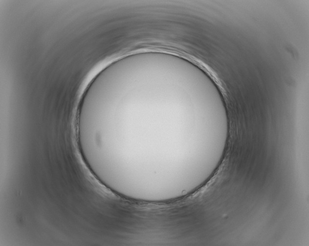 X0000112431522200909251526