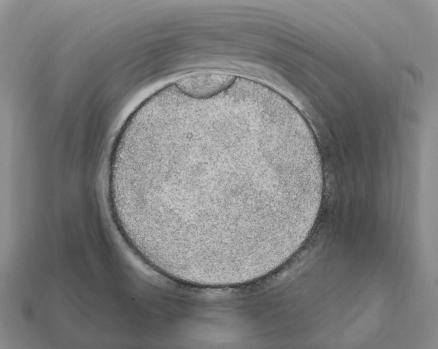 X0000112431523200909251526