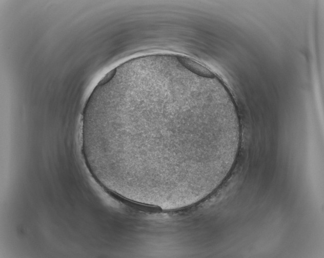 X0000112431524200909251526