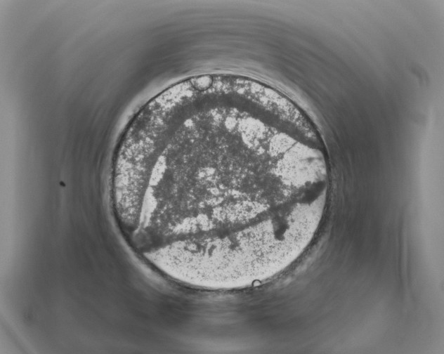 X0000112431525200909251526