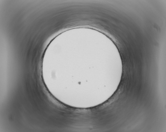 X0000112431526200909251526