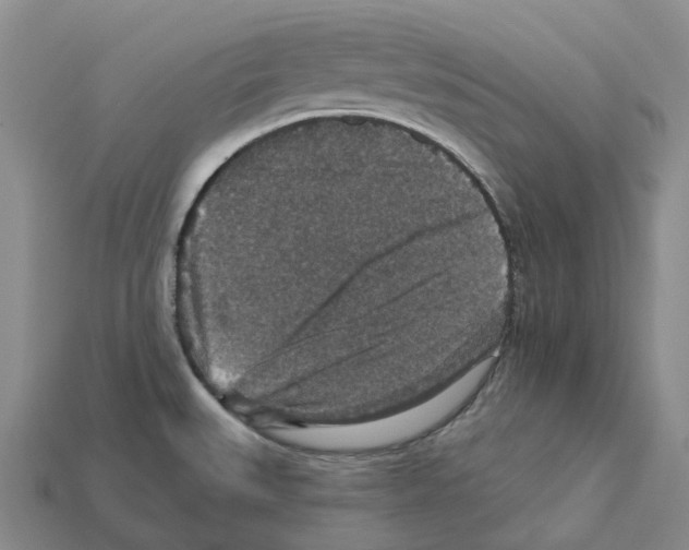 X0000112431527200909251526