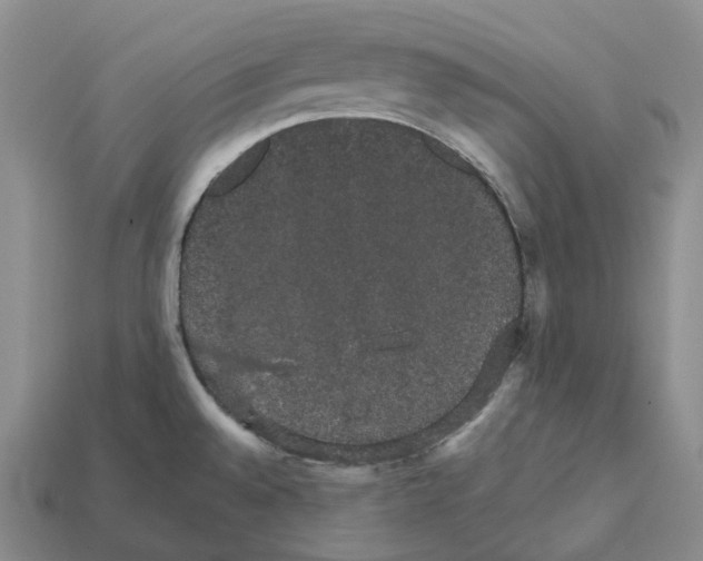 X0000112431528200909251526