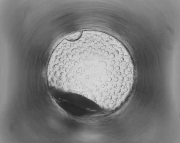 X0000112431529200909251526