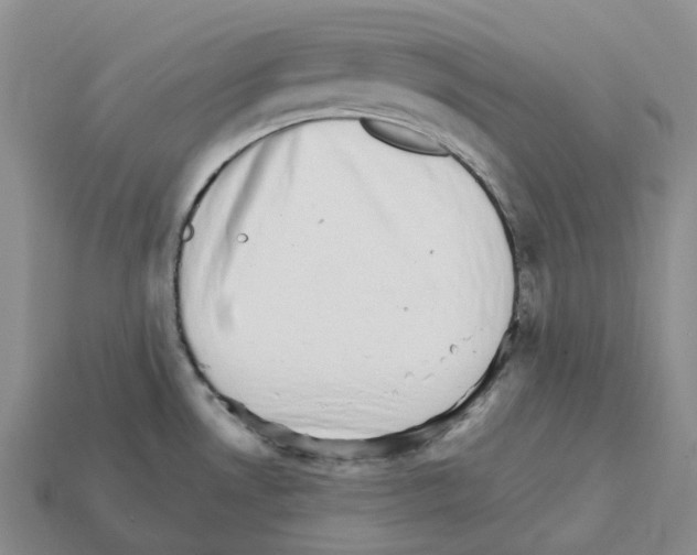 X0000112431530200909251526