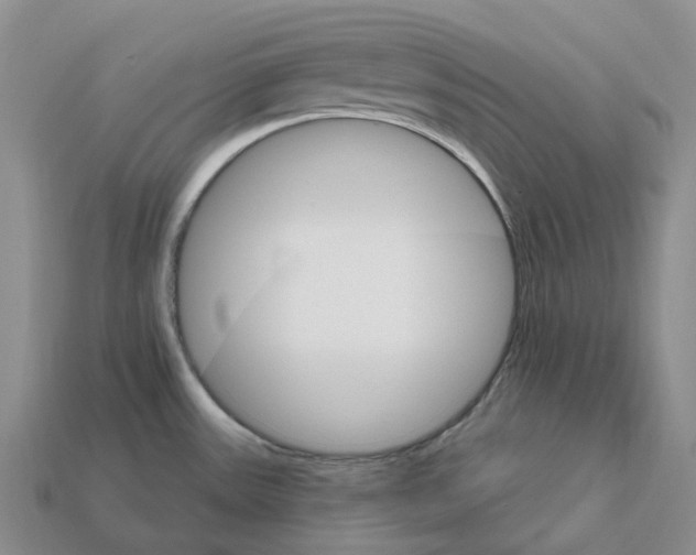 X0000112431531200909251526