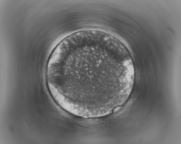 X0000112431533200909251526