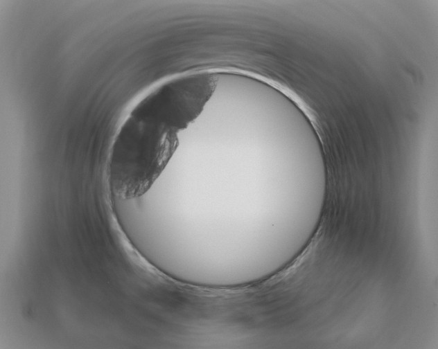 X0000112431534200909251526